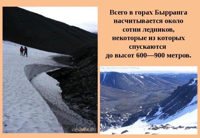 Всего в горах Бырранга насчитывается около  сотни ледников, некоторые из которых спускаются до высот 600—900 метров. 