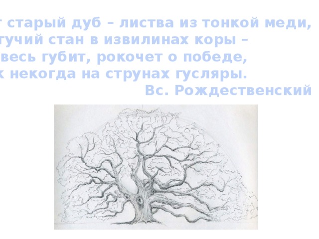 Вот старый дуб – листва из тонкой меди, Могучий стан в извилинах коры – Он весь губит, рокочет о победе, Как некогда на струнах гусляры. Вс. Рождественский С помощью карандаша выполните «быстрый рисунок», прослушав стихотворение. Рассмотрим ваши рисунки. Что является их основным элементом? Основной элемент рисунка – линия. Основная задача линии- выразить движение. Взгляд как бы следует в направлении линии, повторяя ее изгибы и напряжения. От чего будет зависеть впечатление от рисунка? Сегодня мы постараемся ответить на этот вопрос.  