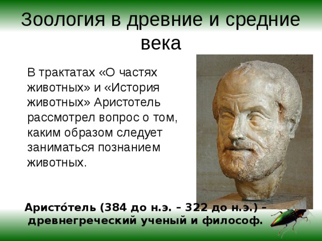 Зоология в древние и средние века В трактатах «О частях животных» и «История животных» Аристотель рассмотрел вопрос о том, каким образом следует заниматься познанием животных. Аристо́тель (384 до н.э. – 322 до н.э.) – древнегреческий ученый и философ. 