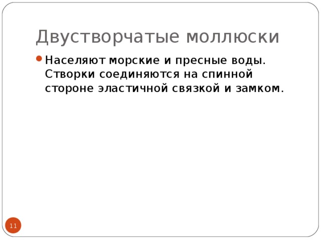 Двустворчатые моллюски Населяют морские и пресные воды. Створки соединяются на спинной стороне эластичной связкой и замком.  