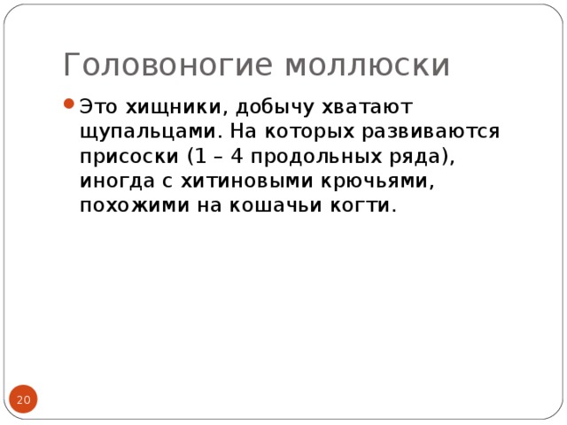 Головоногие моллюски Это хищники, добычу хватают щупальцами. На которых развиваются присоски (1 – 4 продольных ряда), иногда с хитиновыми крючьями, похожими на кошачьи когти.  