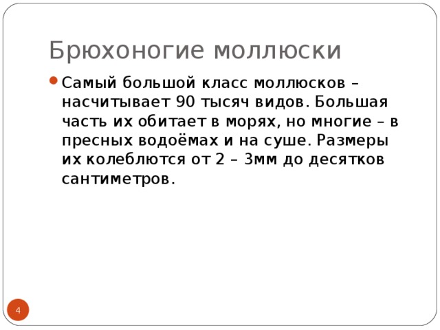 Брюхоногие моллюски Самый большой класс моллюсков – насчитывает 90 тысяч видов. Большая часть их обитает в морях, но многие – в пресных водоёмах и на суше. Размеры их колеблются от 2 – 3мм до десятков сантиметров.  