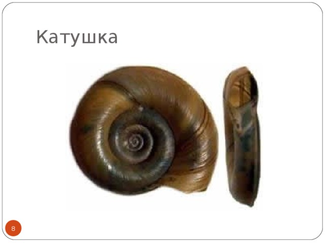 Катушка  