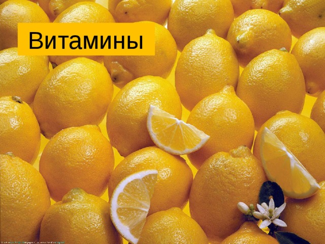  Витамины 