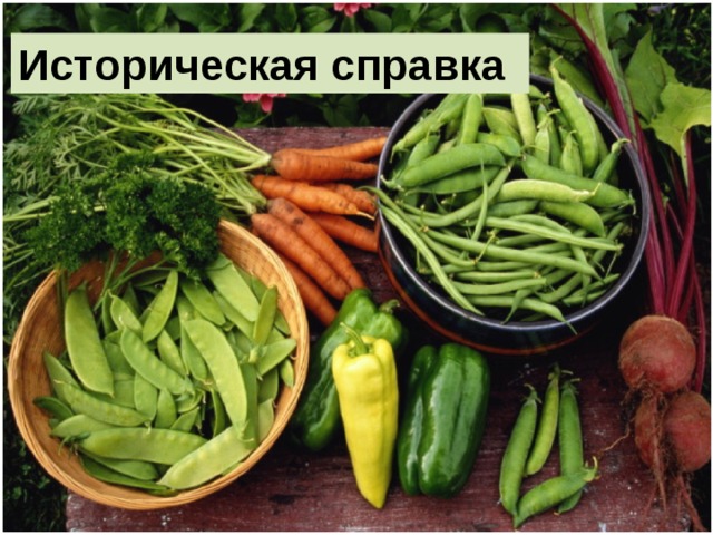 Историческая справка 