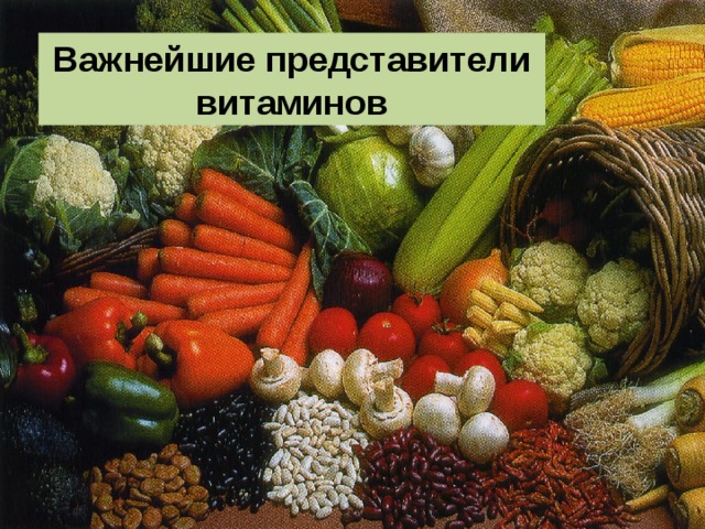 Важнейшие представители витаминов 
