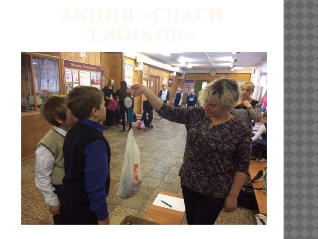 Акция «спаси ежиков» 