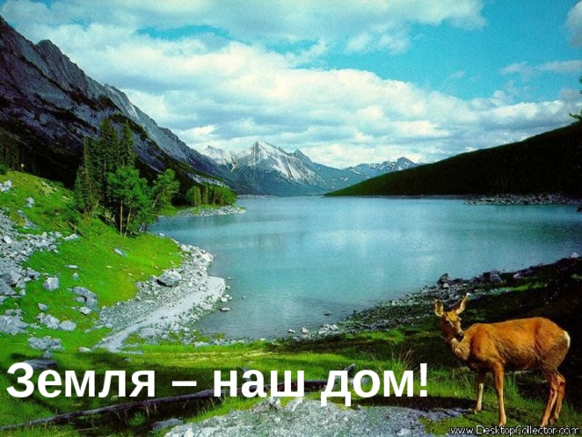 Земля – наш дом! 