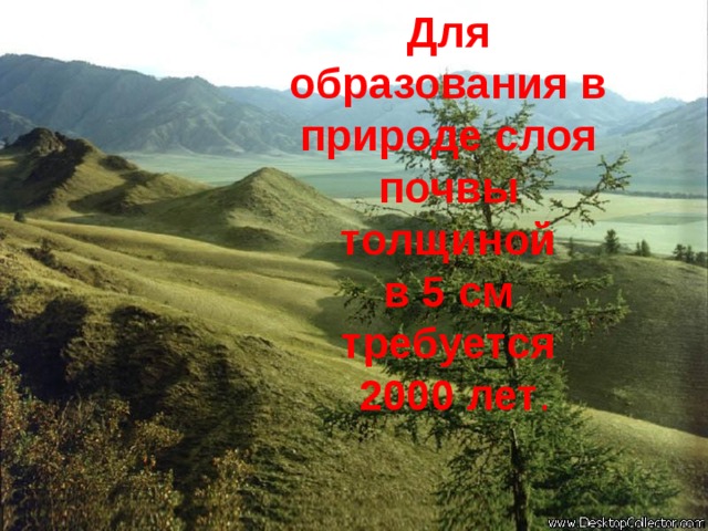 Для образования в природе слоя почвы толщиной  в 5 см требуется  2000 лет . 