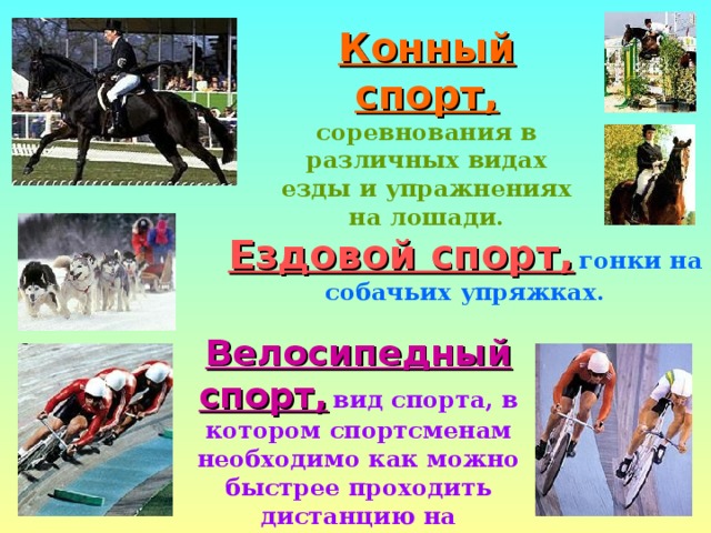 Конный спорт,  соревнования в различных видах езды и упражнениях на лошади. Ездовой спорт,  гонки на собачьих упряжках. Велосипедный спорт,  вид спорта, в котором спортсменам необходимо как можно быстрее проходить дистанцию на велосипедах. 