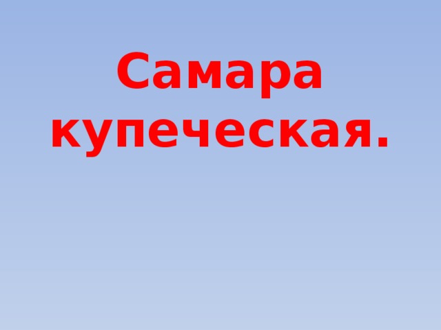 Самара купеческая. 