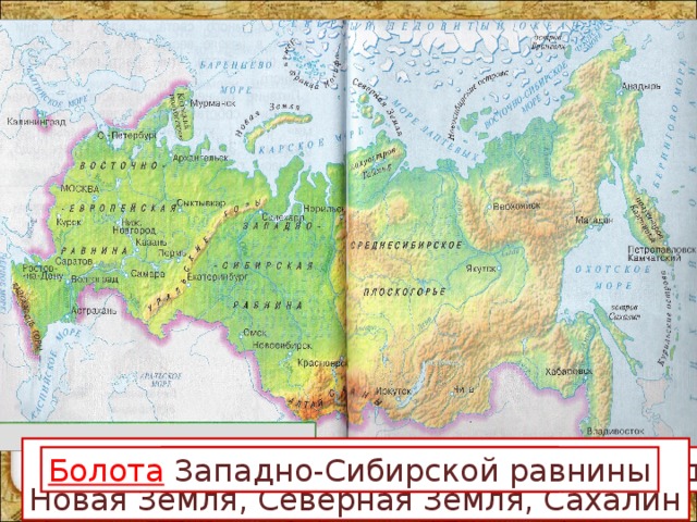 Острова: Новая Земля, Северная Земля, Сахалин Города: Курск, Санкт-Петербург, Магадан. Реки: Обь, Лена. Горы: Кавказские, Уральские. Границу нашей страны Болота Западно-Сибирской равнины 
