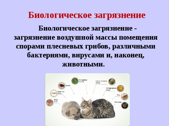 Биологическое загрязнение   Биологическое загрязнение -  загрязнение воздушной массы помещения спорами плесневых грибов, различными бактериями, вирусами и, наконец, животными.   