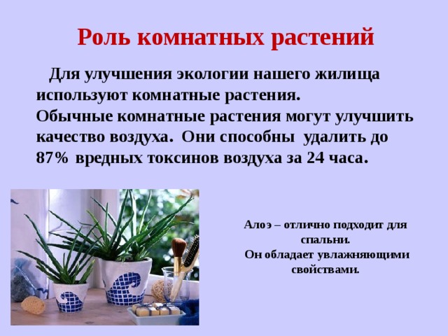 Роль комнатных растений   Для улучшения экологии нашего жилища используют комнатные растения. Обычные комнатные растения могут улучшить качество воздуха. Они способны удалить до 87% вредных токсинов воздуха за 24 часа. Алоэ – отлично подходит для спальни.  Он обладает увлажняющими свойствами. 