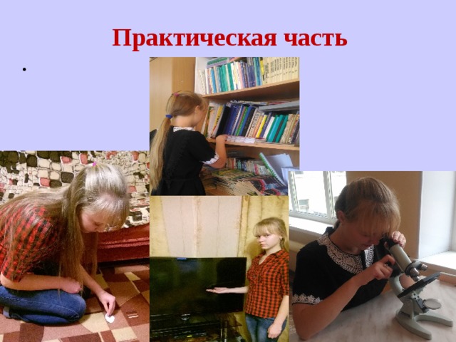 Практическая часть .  