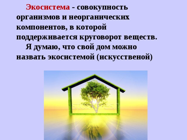 Экосистема - совокупность организмов и неорганических компонентов, в которой поддерживается круговорот веществ. Я думаю, что свой дом можно назвать экосистемой (искусственой)  
