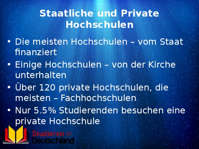 Staatliche und Private Hochschulen Die meisten Hochschulen – vom Staat finanziert Einige Hochschulen – von der Kirche unterhalten Über 120 private Hochschulen, die meisten – Fachhochschulen Nur 5.5% Studierenden besuchen eine private Hochschule 