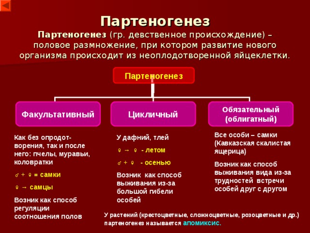  Значение мейоза Происходит поддержание числа хромосом из поколения в поколение. Зрелые гаметы получают гаплоидное число ( n ) хромосом, а при оплодотворении восстанавливается характерное для данного вида диплоидное число хромосом.  Образуется большое количество новых комбинаций генов при кроссинговере и слиянии гамет (комбинативная изменчивость) , что дает новый материал для эволюции (потомки отличаются от родителей).  ♂  ( n ) + ♀ ( n ) = зигота (2n) → новый организм ( 2n )  