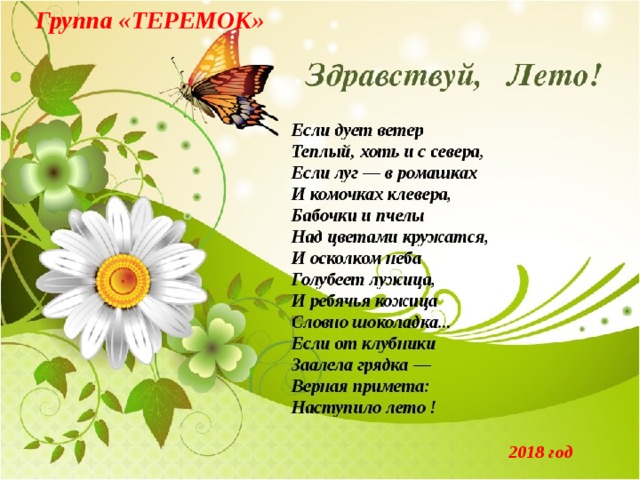 Группа «ТЕРЕМОК» 2018 год 