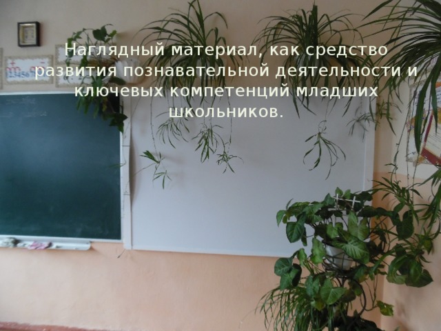 Наглядный материал, как средство развития познавательной деятельности и ключевых компетенций младших школьников. 