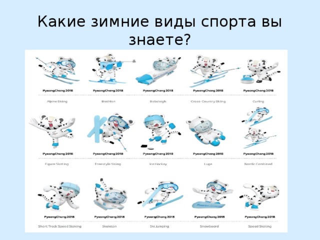 Какие зимние виды спорта вы знаете? 