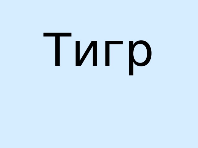 Тигр 