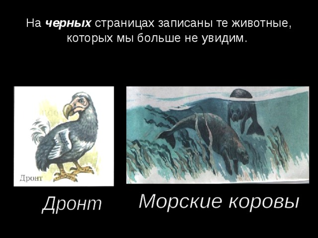 На черных страницах записаны те животные, которых мы больше не увидим.  