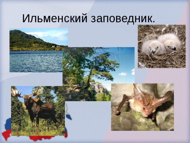  Ильменский заповедник. 