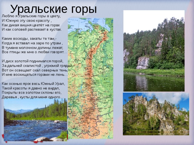 Уральские горы Люблю я Уральские горы в цвету,  И Южную эту свою красоту ,  Как дикая вишня цветёт на горах  И как соловей распевает в кустах.   Какие восходы, закаты те там,-  Когда я вставал на заре по утрам ,  В тумане молочном долины лежат,  Все птицы же мне о любви говорят…   И диск золотой поднимался порой,  За дальней скалистой , угрюмой грядой,  Вот он освещает скал северных тень,  И мне восхищаться горами не лень…   Как осенью ярок весь Южный Урал,  Такой красоты я давно не видал,  Покрыты все золотом склоны его,  Деревья , кусты для меня одного…   