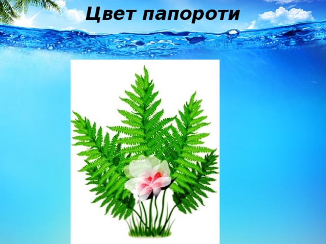 Цвет папороти  