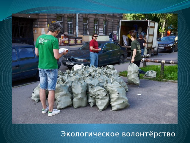 Экологическое волонтёрство 