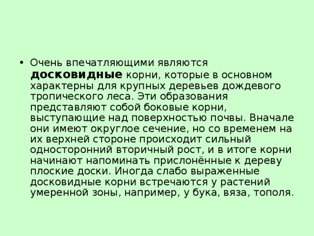 Очень впечатляющими являются досковидные корни, которые в основном характерны для крупных деревьев дождевого тропического леса. Эти образования представляют собой боковые корни, выступающие над поверхностью почвы. Вначале они имеют округлое сечение, но со временем на их верхней стороне происходит сильный односторонний вторичный рост, и в итоге корни начинают напоминать прислонённые к дереву плоские доски. Иногда слабо выраженные досковидные корни встречаются у растений умеренной зоны, например, у бука, вяза, тополя. 