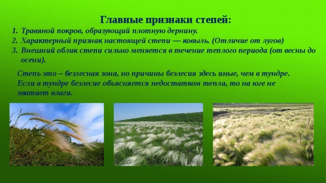  Главные признаки степей: Травяной покров, образующий плотную дернину. Характерный признак настоящей степи — ковыль. (Отличие от лугов) Внешний облик степи сильно меняется в течение теплого периода (от весны до осени). Степь это – безлесная зона, но причины безлесия здесь иные, чем в тундре. Если в тундре безлесие объясняется недостатком тепла, то на юге не хватает влаги. 