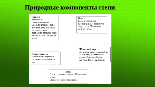 Природные компоненты степи . 