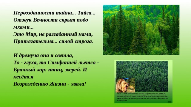 Первозданности тайна... Тайга...  Отзвук Вечности скрыт подо мхами...  Это Мир, не разгаданный нами,  Притягательна... силой строга.   И дремуча она и светла,  То - глуха, то Симфонией льётся -  Брачный хор: птиц, зверей. И несётся  Возрождению Жизни - хвала!   