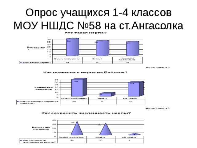 Опрос учащихся 1-4 классов МОУ НШДС №58 на ст.Ангасолка 