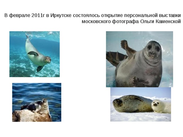 В феврале 2011г в Иркутске состоялось открытие персональной выставки московского фотографа Ольги Каменской 