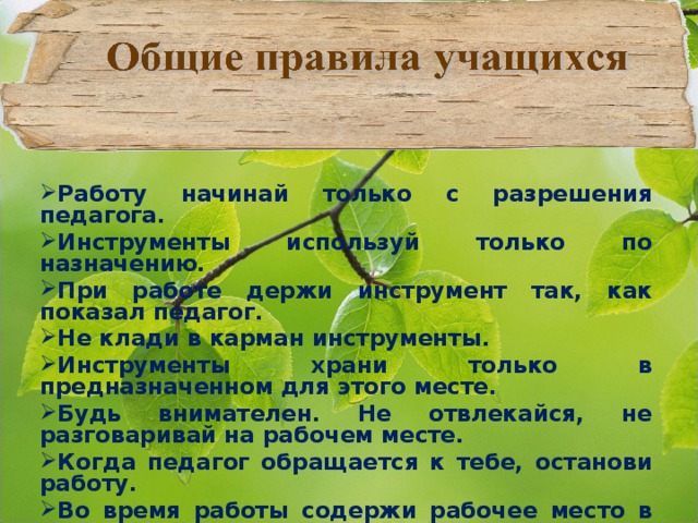 Работу начинай только с разрешения педагога. Инструменты используй только по назначению. При работе держи инструмент так, как показал педагог. Не клади в карман инструменты. Инструменты храни только в предназначенном для этого месте. Будь внимателен. Не отвлекайся, не разговаривай на рабочем месте. Когда педагог обращается к тебе, останови работу. Во время работы содержи рабочее место в порядке и чистоте.  