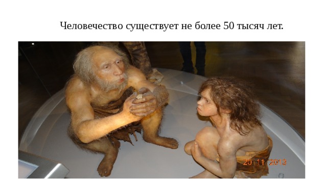 Человечество существует не более 50 тысяч лет. 