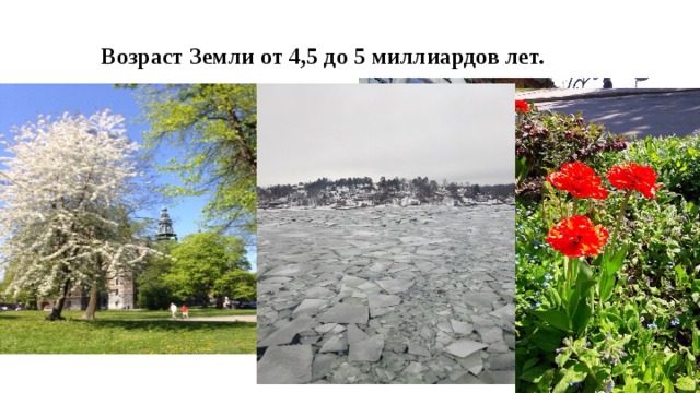 Возраст Земли от 4,5 до 5 миллиардов лет. 