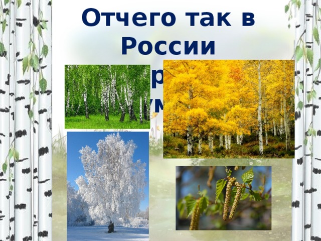 Отчего так в России берёзы шумят ? 