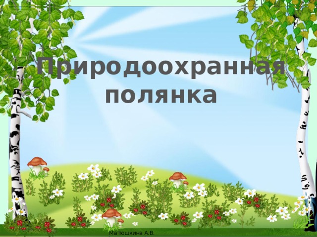Природоохранная полянка 