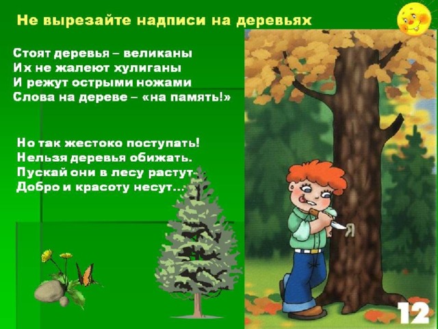 Природоохранная полянка 