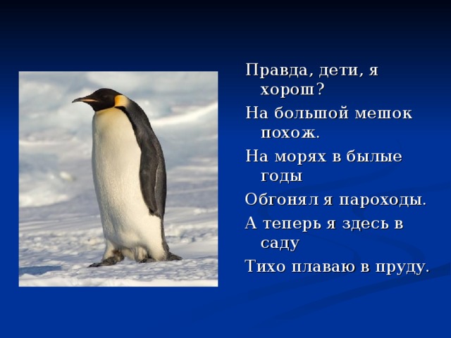 Правда, дети, я хорош? На большой мешок похож. На морях в былые годы Обгонял я пароходы. А теперь я здесь в саду Тихо плаваю в пруду. 