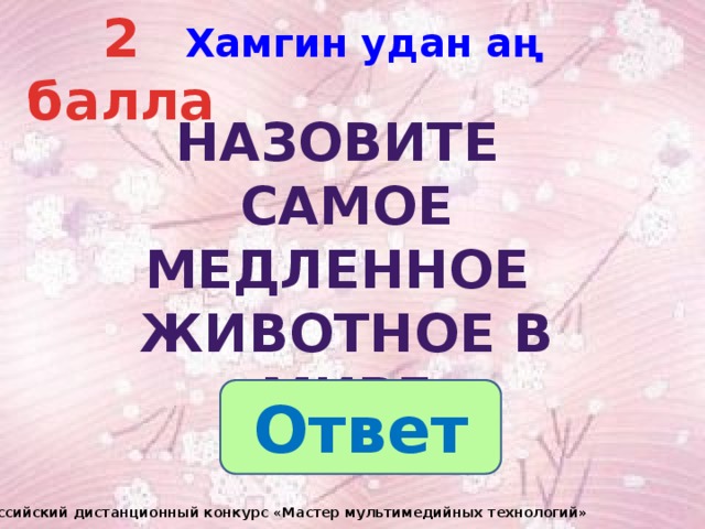 2 балла Хамгин удан аң Назовите Самое медленное животное в мире Ответ III Всероссийский дистанционный конкурс «Мастер мультимедийных технологий» 