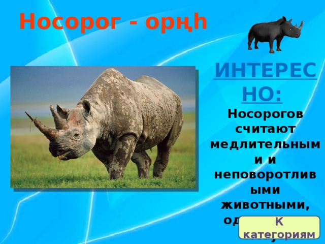 Носорог - орңһ ИНТЕРЕСНО:   Носорогов считают медлительными и неповоротливыми животными, однако они могут развивать скорость при беге от 48 до 64 километров в час. К категориям 
