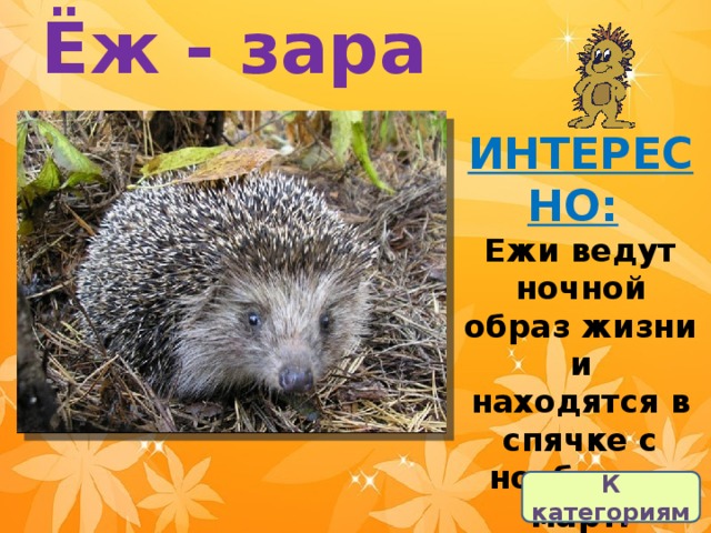 Ёж - зара ИНТЕРЕСНО:   Ежи ведут ночной образ жизни и находятся в спячке с ноября по март. К категориям 
