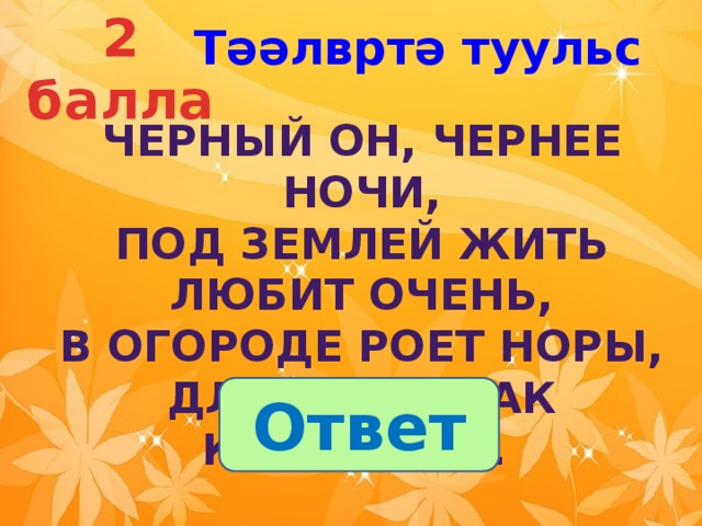2 балла Тәәлвртә туульс  Черный он, чернее ночи,  под землей жить любит очень,  В огороде роет норы,  длинные, как коридоры.  Ответ 