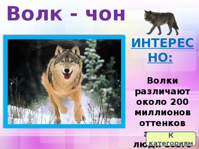 Волк - чон ИНТЕРЕСНО:   Волки различают около 200 миллионов оттенков запаха, люди всего лишь 5 млн.  К категориям 