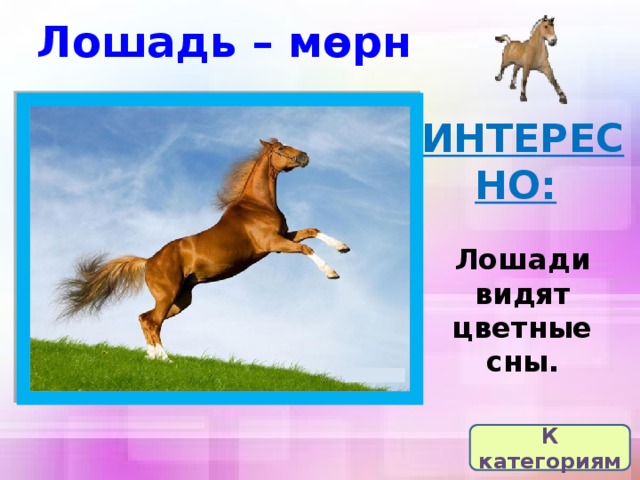 Лошадь – мөрн ИНТЕРЕСНО:   Лошади видят цветные сны. К категориям  